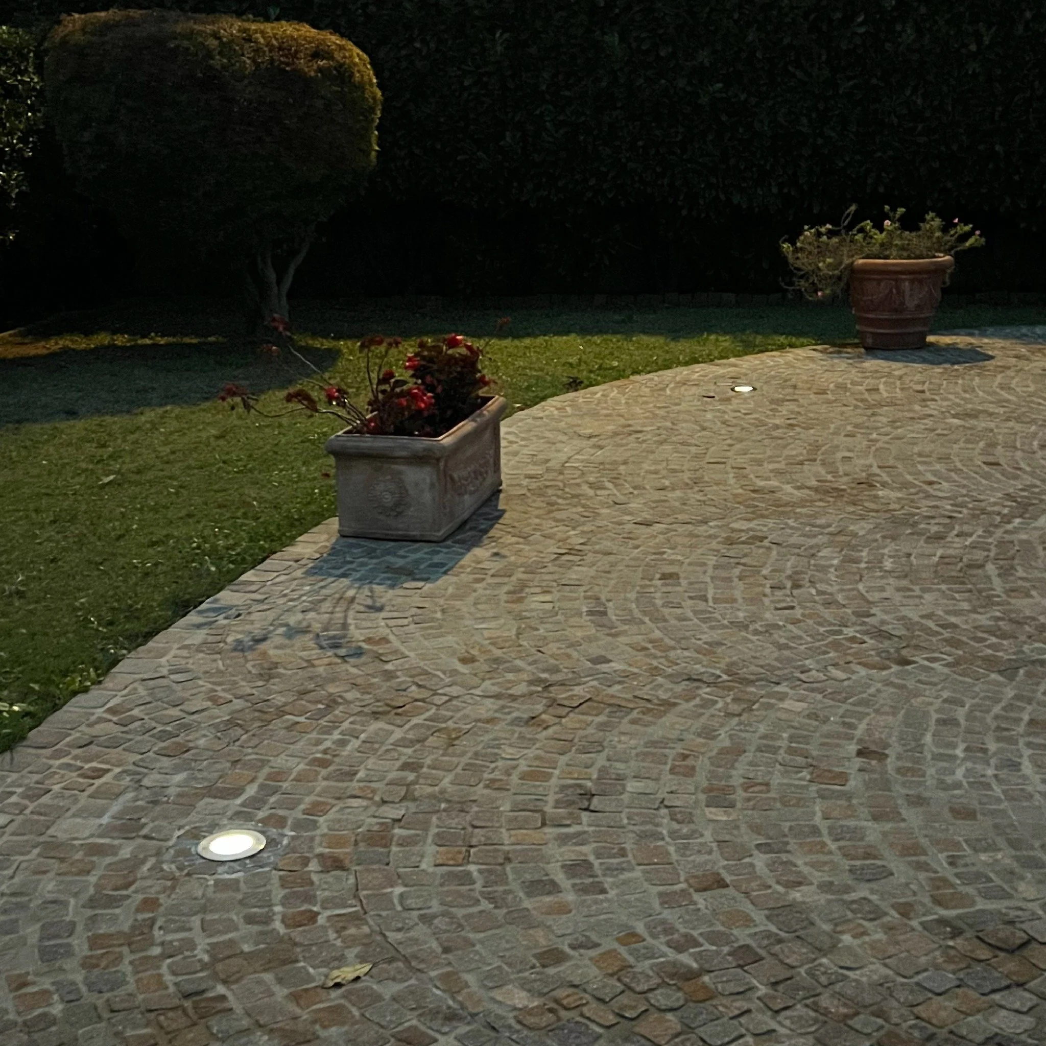 Miniatura 10
